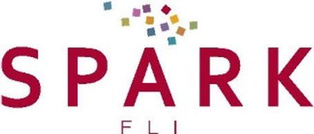 SPARK-FLI